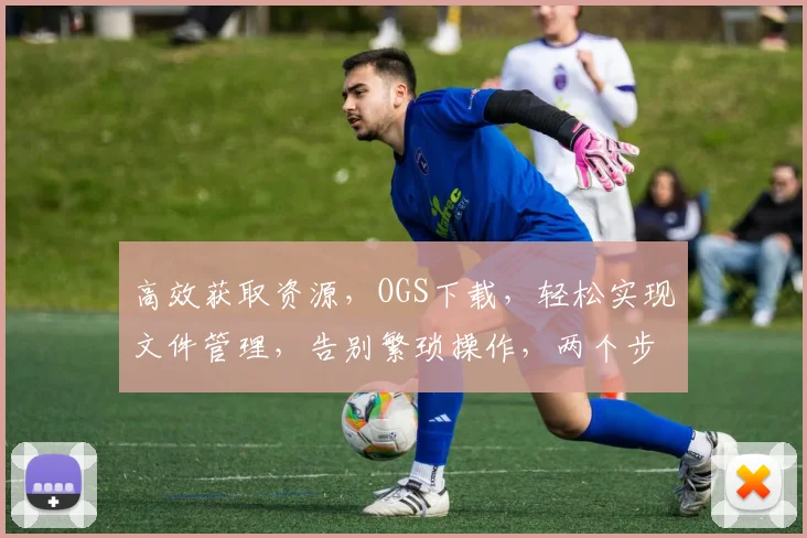高效获取资源，OGS下载，轻松实现文件管理，告别繁琐操作，两个步骤轻松搞定
