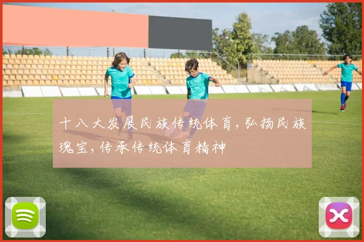 十八大发展民族传统体育,弘扬民族瑰宝,传承传统体育精神
