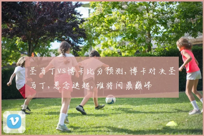 圣马丁vs博卡比分预测,博卡对决圣马丁,悬念迭起,谁将问鼎巅峰