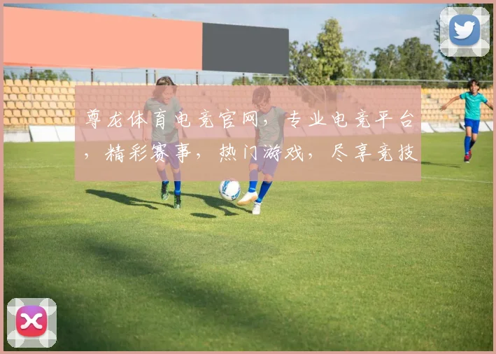 尊龙体育电竞官网，专业电竞平台，精彩赛事，热门游戏，尽享竞技乐趣，不容错过